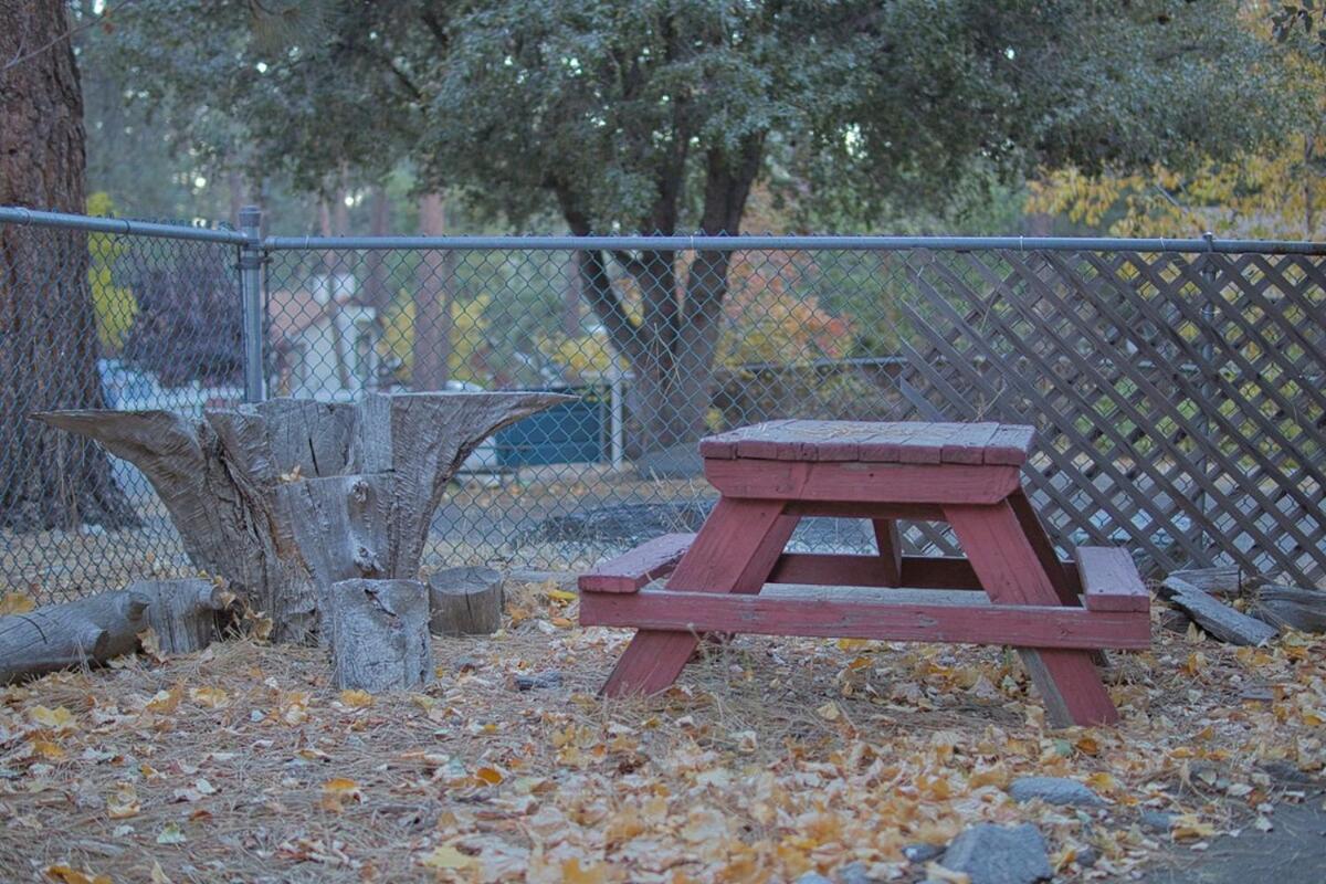 Ray'S Dear Cottage Wrightwood Exteriér fotografie