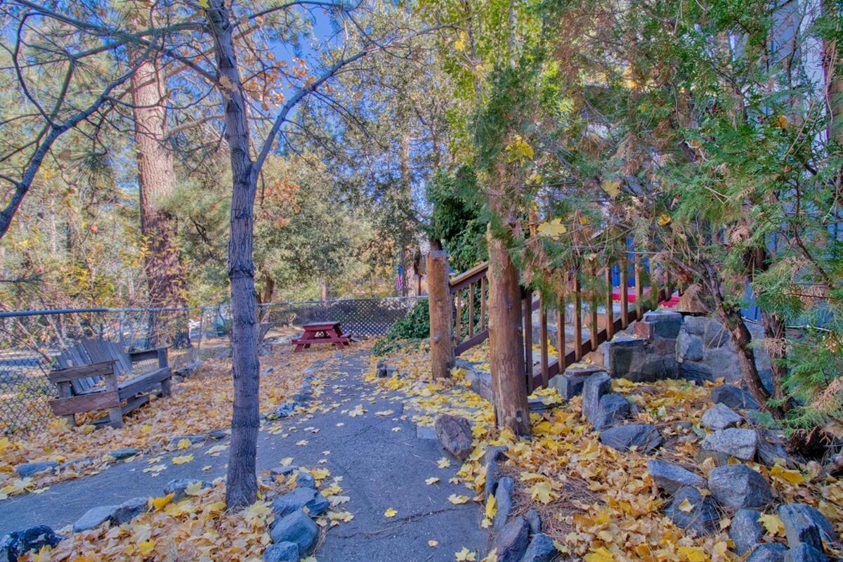 Ray'S Dear Cottage Wrightwood Exteriér fotografie